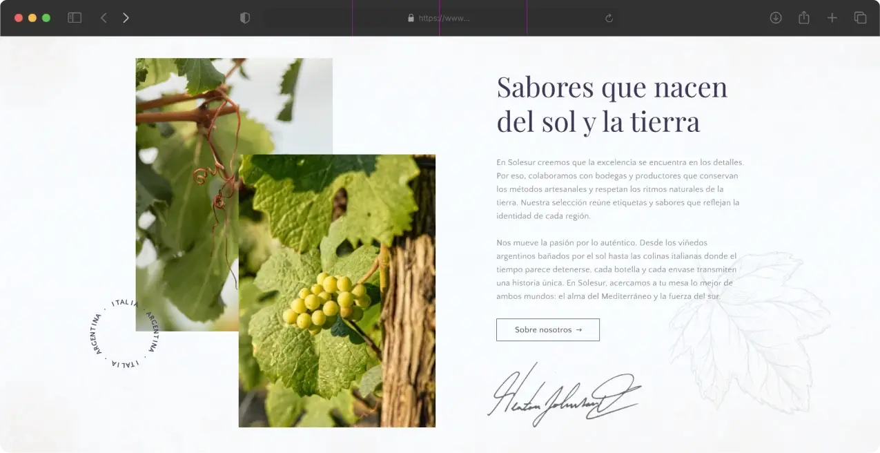 ¿Cómo ayudamos a solesur_ (4)