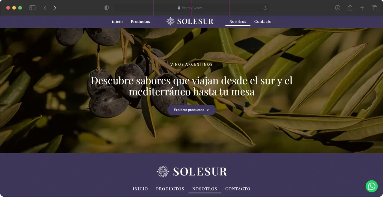 ¿Cómo ayudamos a solesur_ (5)