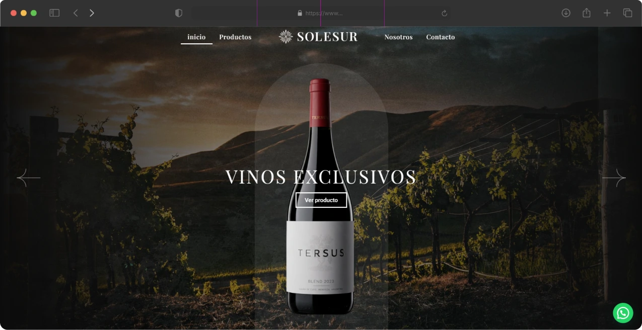 ¿Cómo ayudamos a solesur_ (6)