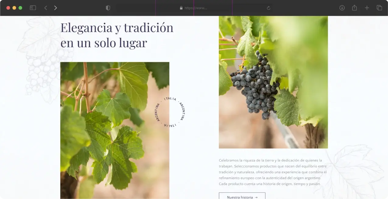¿Cómo ayudamos a solesur_ (7)