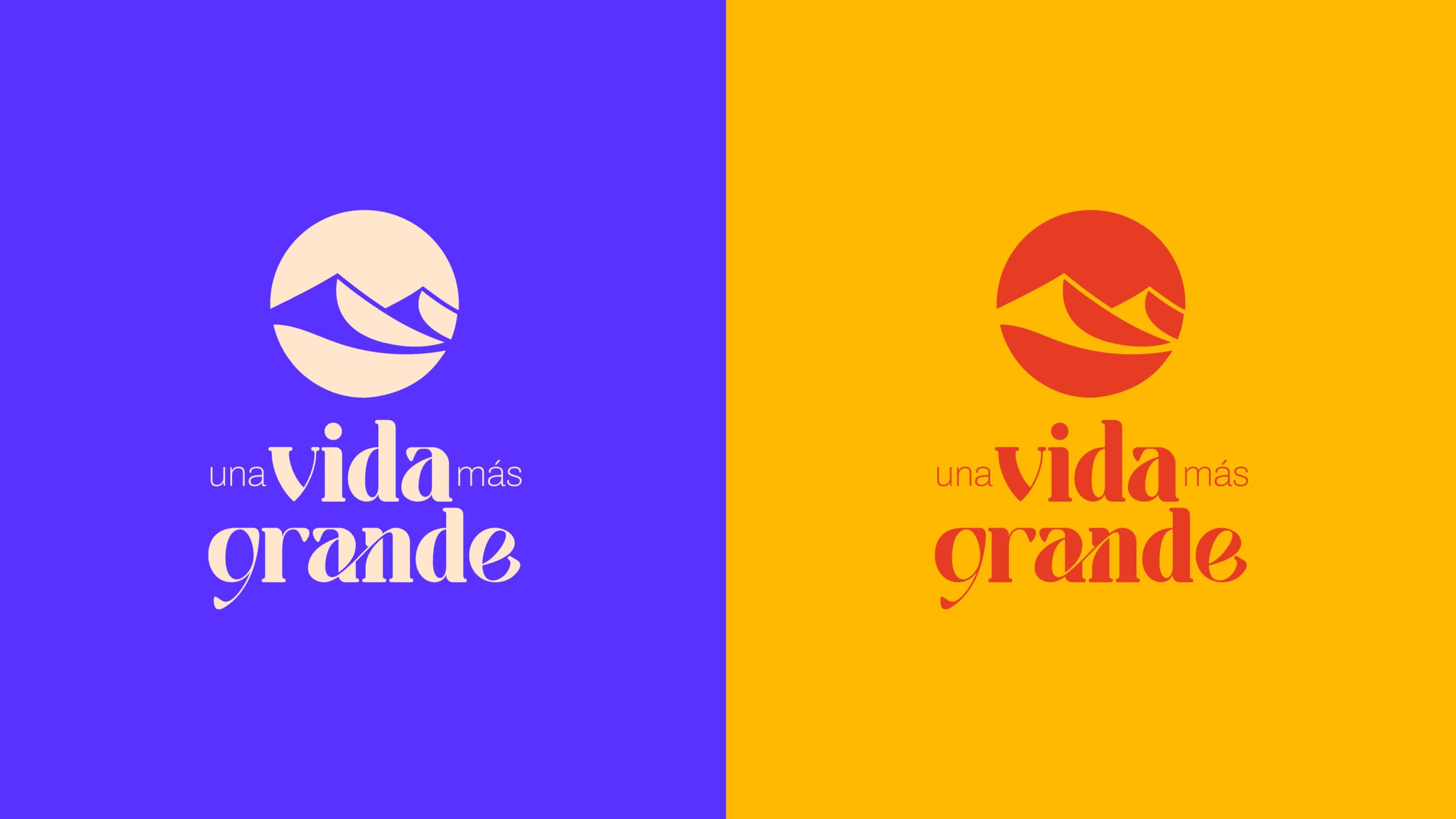 logo-2-scaled.jpg